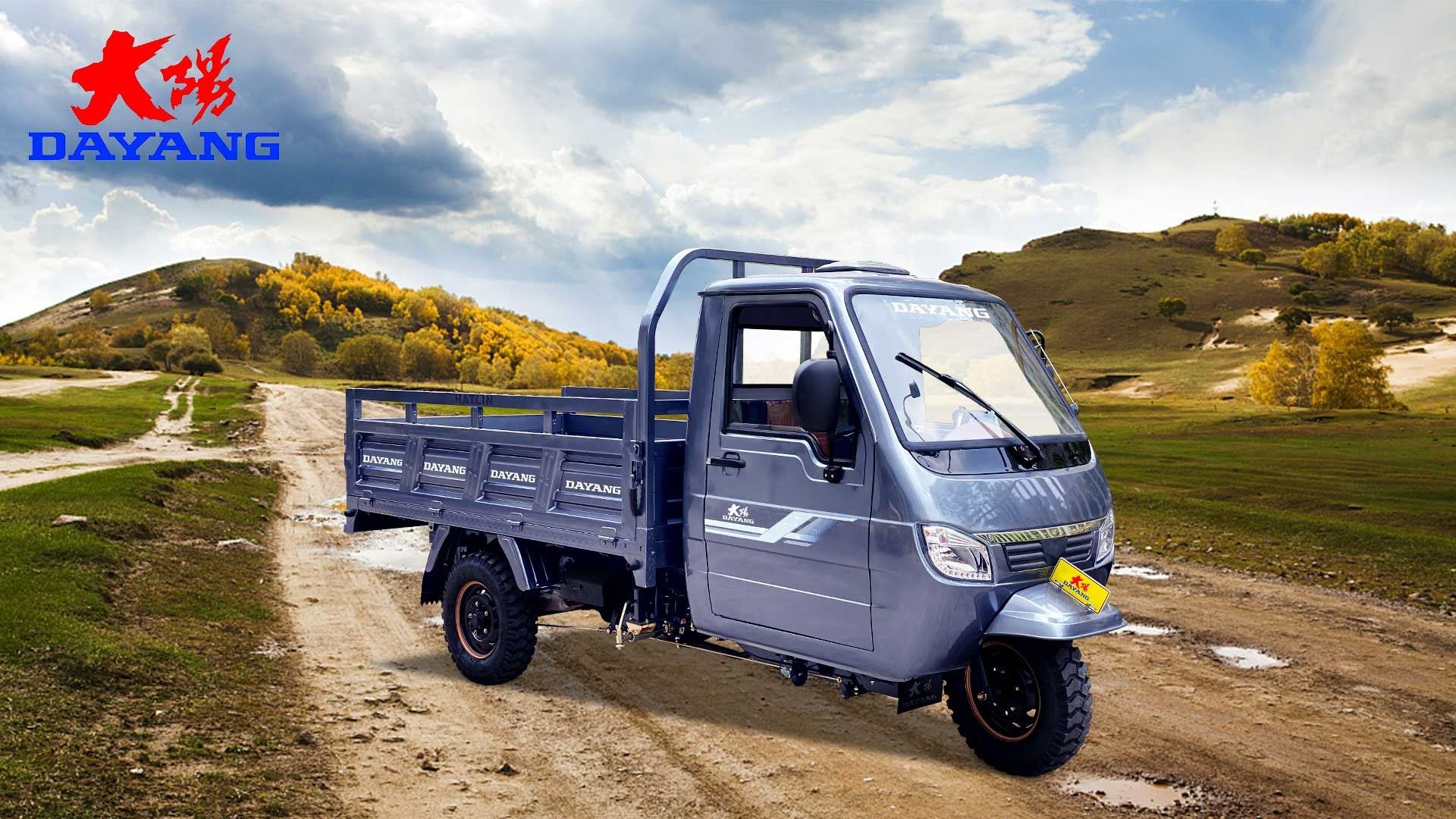 Super Loading Ability Tricycle Delivery Van custom
