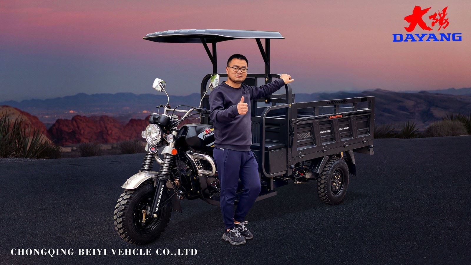 Strong Loading Tricycle Delivery 3 Wheeler OEM