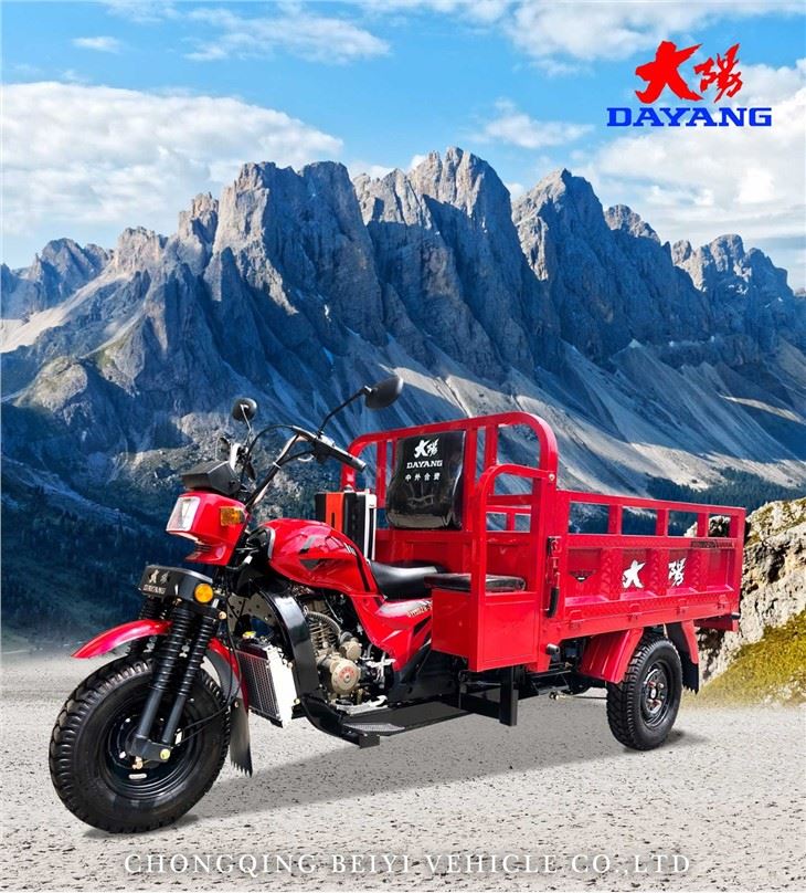 200 air-cooled engine cargo tricycle factory