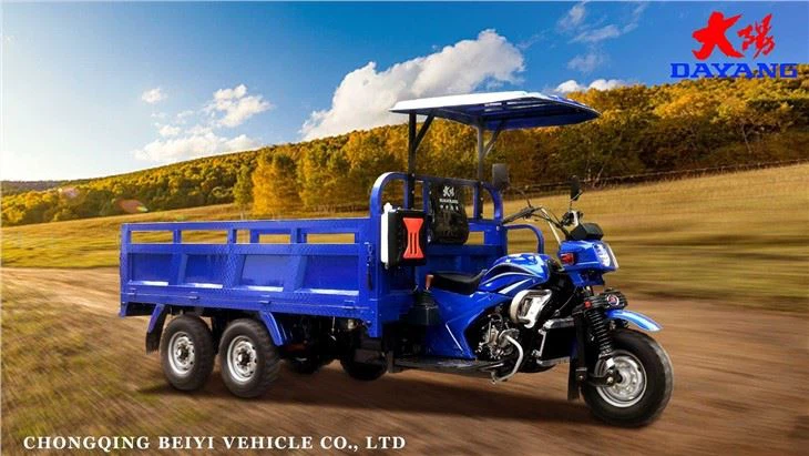 9 wheels double rear axle tricycle  (10)