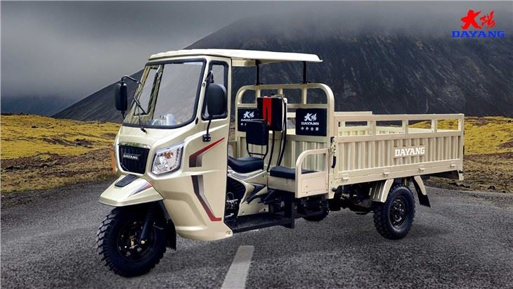 Adult 250CC Cargo Tricycle Open Body Type cabin