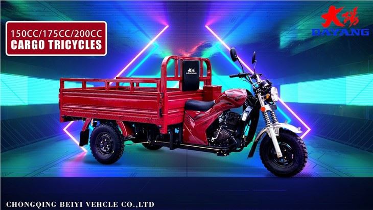 adult cargo gasoline motorized  tricycle  cheap