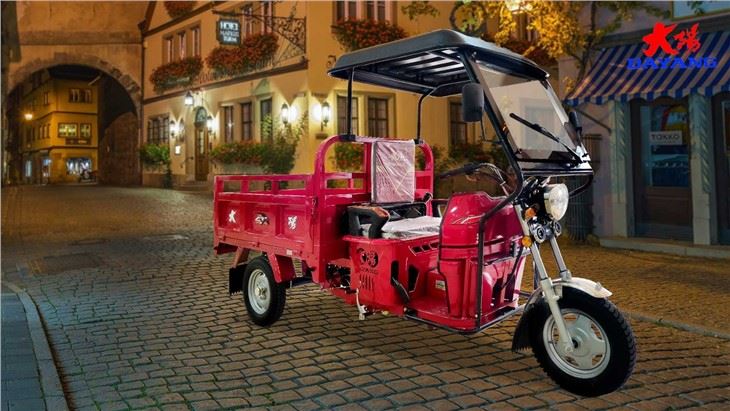 Air Cooling 150CC Cargo Tricycle (10)