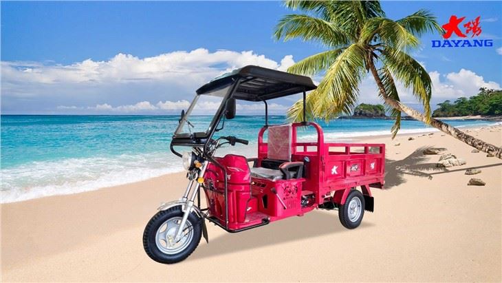 Air Cooling 150CC Cargo Tricycle ccc