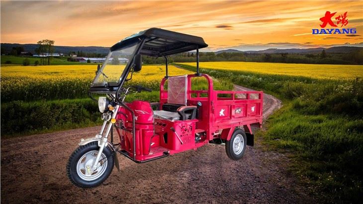 Air Cooling 150CC Cargo Tricycle custom