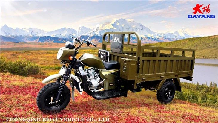 CDI 200CC Cargo Tricycle