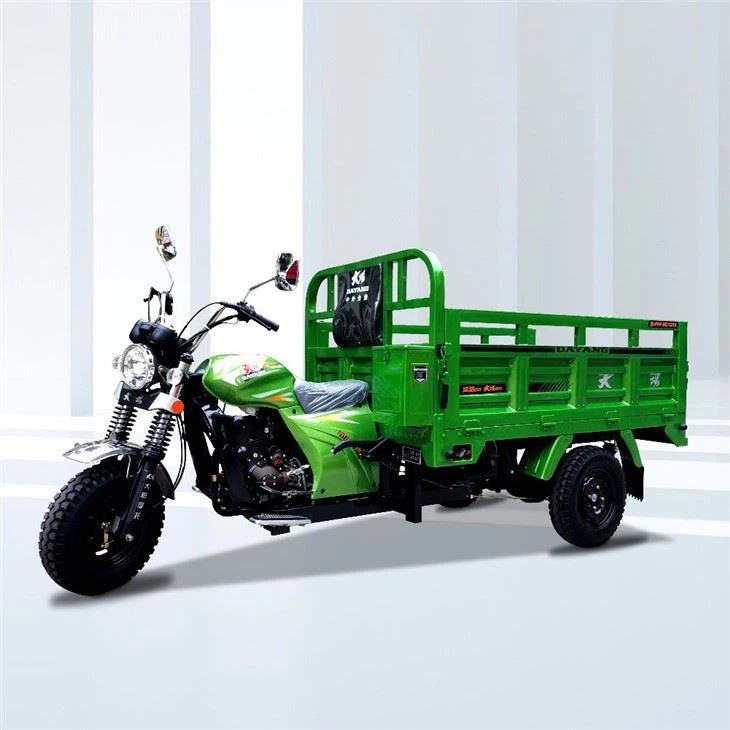 three wheel 200cc Cargo motorcycle 
