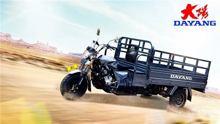 150cc China Gasoline Motorized Cargo 3 Wheel Motorcycle for Sale (SY150ZH-E7)