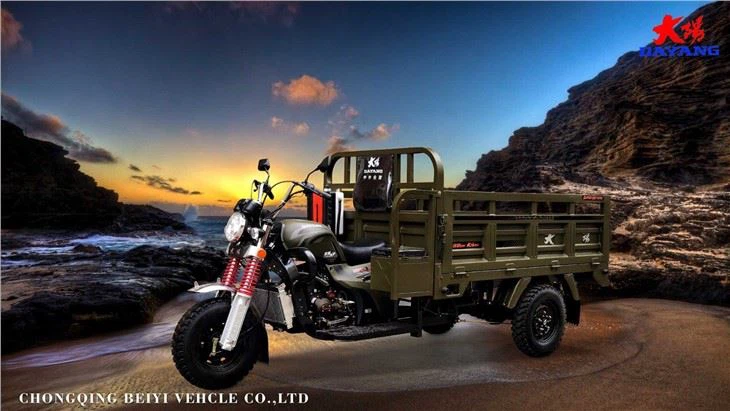 Cheap Petrol 200CC Cargo Tricycle