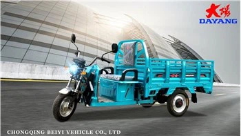 India Popular Electric Tricycle Rickshaw 1000W 800W (HDT1000-18)