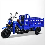 Motorized Cargo Trike 3 Wheel Motorcycle
