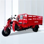 Motorized Fuel 3 Wheel Cargo Motorcycle
