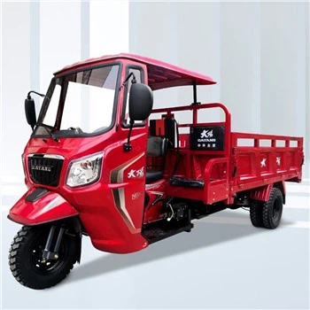 Other Adult Tricycle Motorcycle