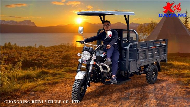 Strong Loading Tricycle Delivery 3 Wheeler Supplier