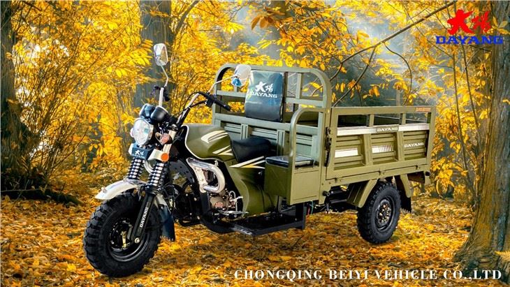 cheap Three Wheel Cargo Motorcycle 150cc Auto Cargo
