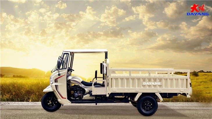 Three Wheel Motorized Cargo Tricycle