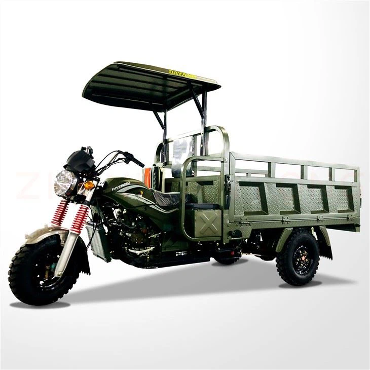3 Wheels Carga Tricar