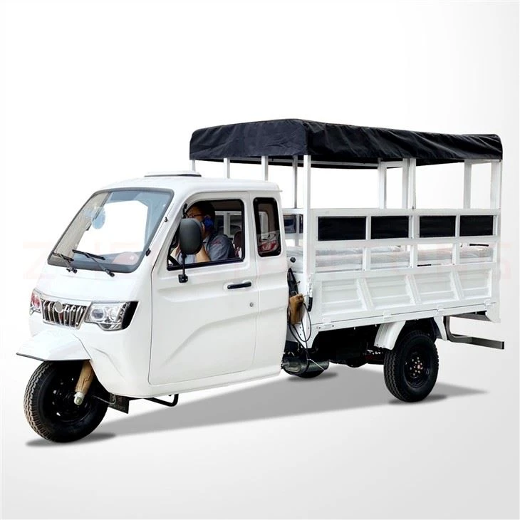 Enclosed 3 Wheels Cargo Moto