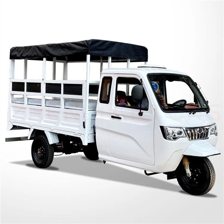 Enclosed 3 Wheels Cargo Moto