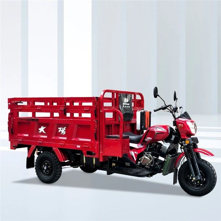 300cc 3 Wheels Moto De Carga