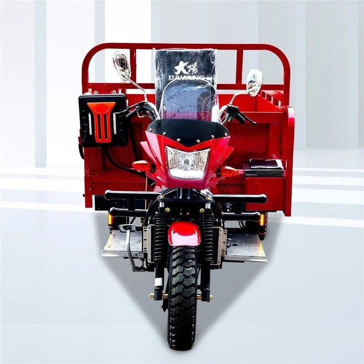 300cc Three Wheeler Moto Carga