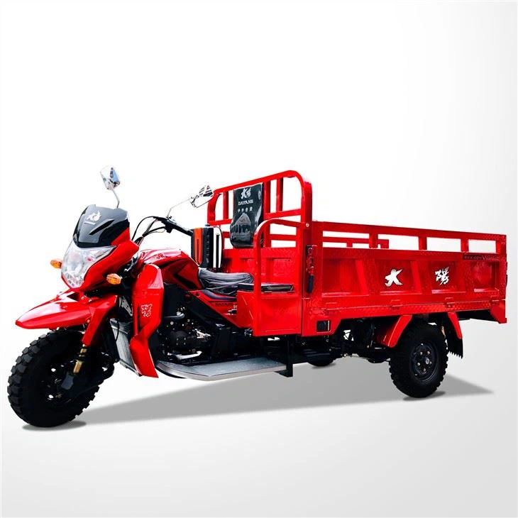 5 Wheel Cargo Tricycle