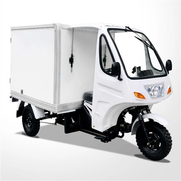 Cargo Moto Trike Van