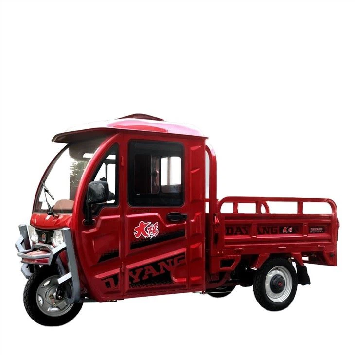 Cargo Triciclo Motore