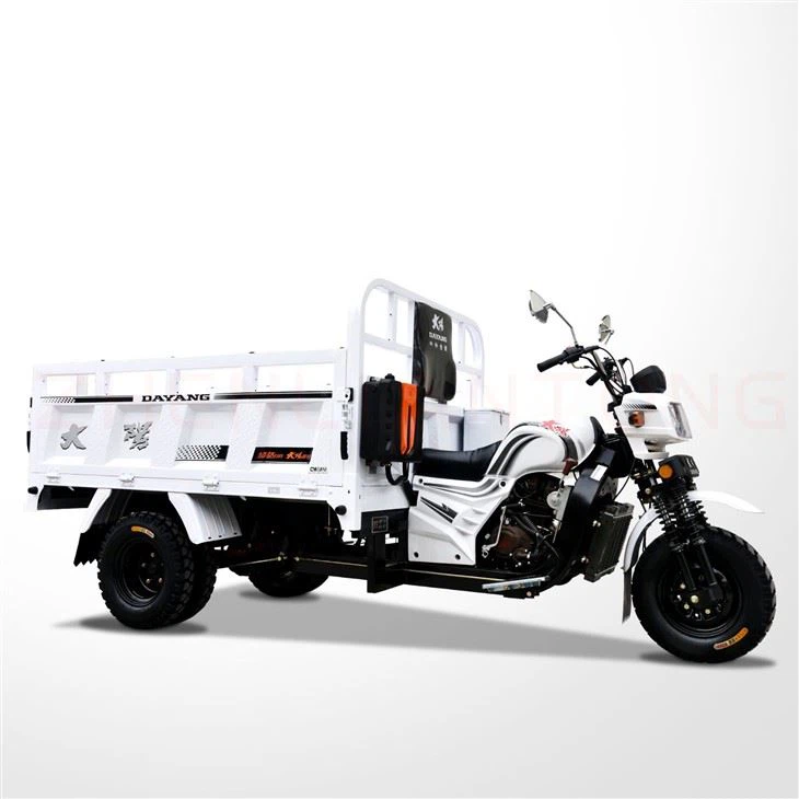 200cc Cargo Trike Moto