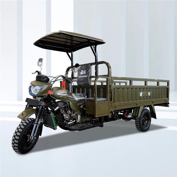 Carguero Motocarro Tricar