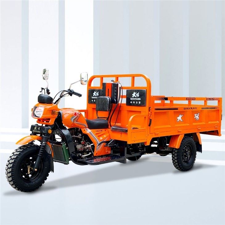 Carguero Motor Tricycle