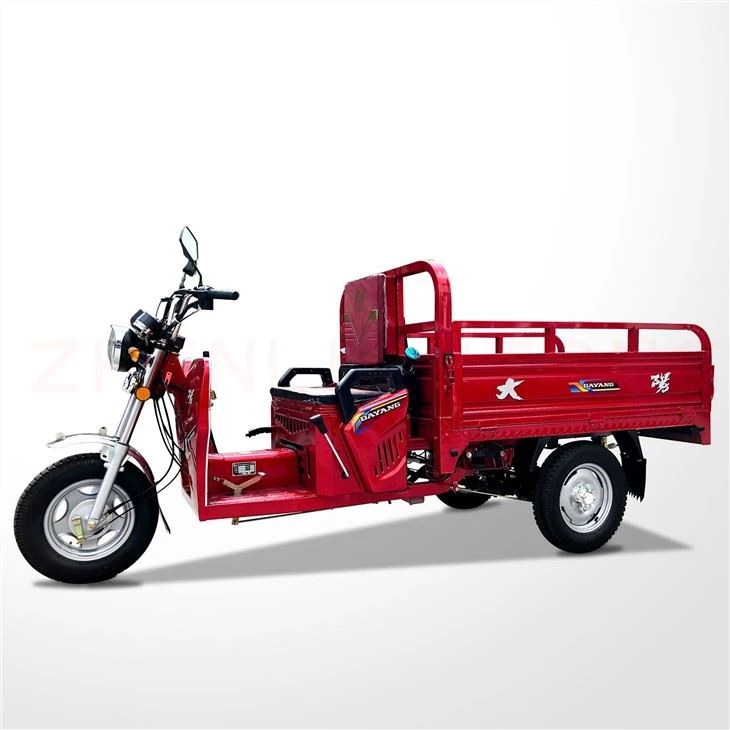 Carguero Motore Tricar