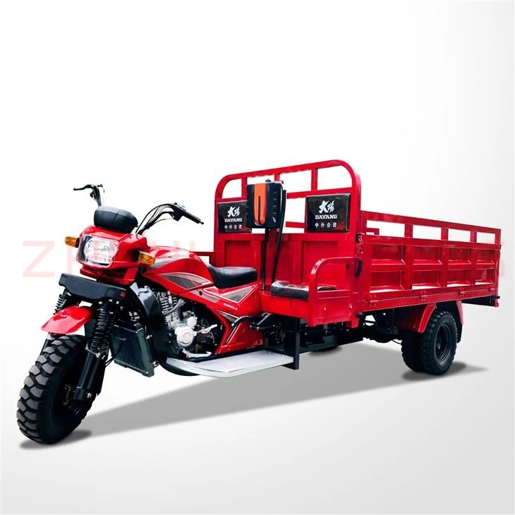 300cc Chargement Cargo Motocicleta