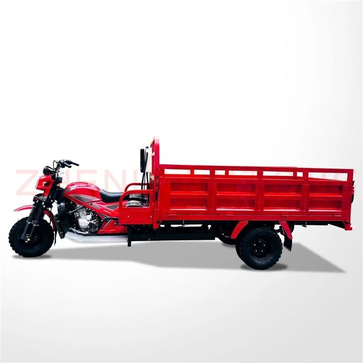 300cc Chargement Cargo Motocicleta