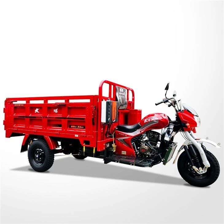 250cc Furgon Chargement Trimoto