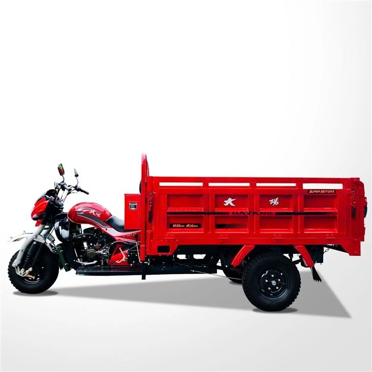 250cc Furgon Chargement Trimoto