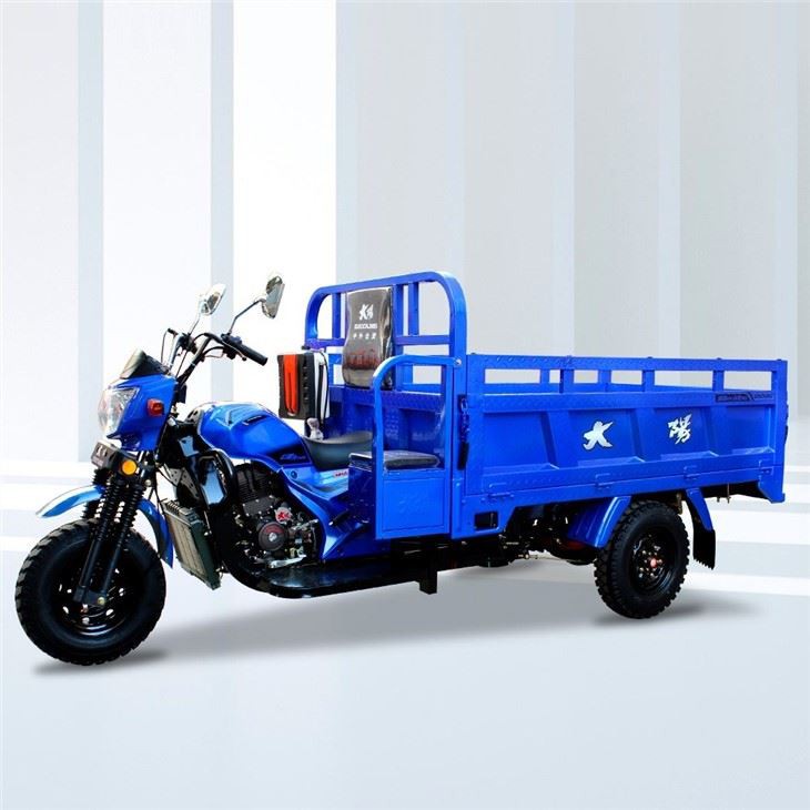 200cc Motorized Carga Motocar