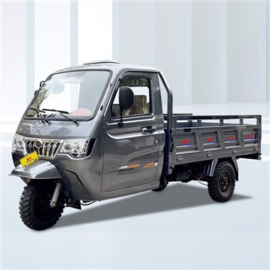 Enclosed 3 Wheels Cargo Motocar