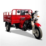 Classical 3 Wheels Moto Tipper