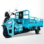 200cc 3 Wheels Tricycle De Carga