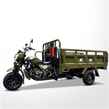 Carga Motorizado Trimoto