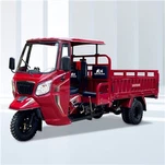 Fuel Three Wheeler Cargo Farm