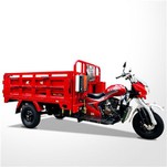 250cc Furgon Chargement Trimoto