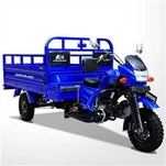 300cc Motorized Cargo Motocar