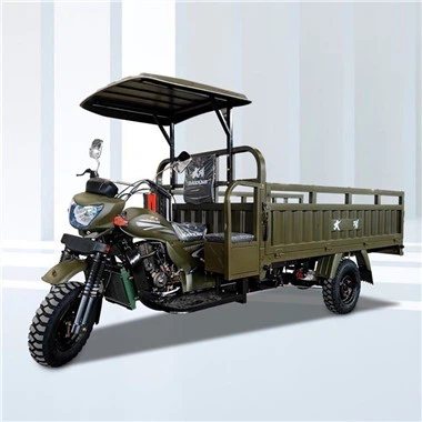 250cc Three Wheeler Carga Trike