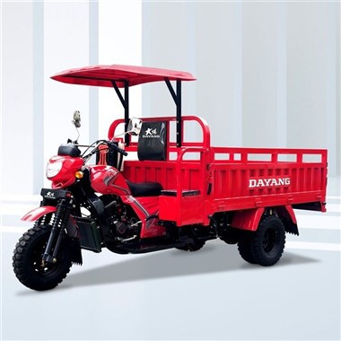 200cc Triporteur Chargement Trimoto