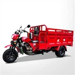Truck Cargo Tricycle 300cc