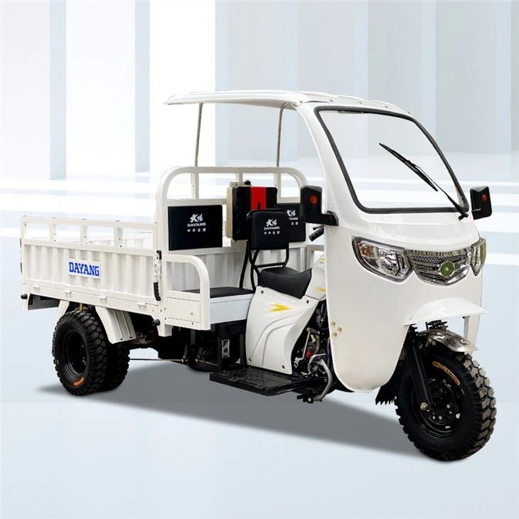 250cc Three Wheel Cargo Motorcycle