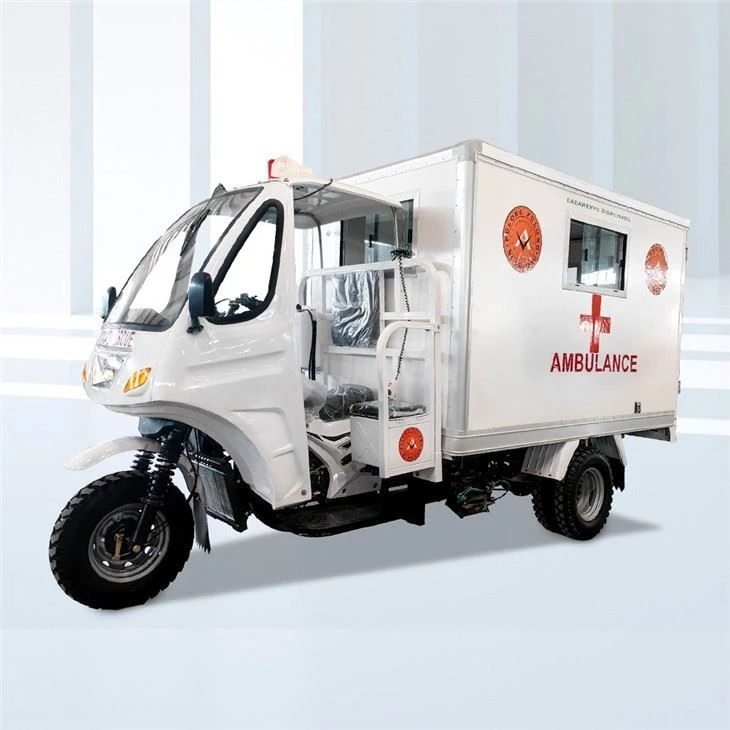 Three Wheel Motor Cargo