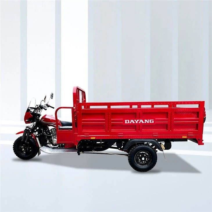 300cc Three Wheeler Moto Carga
